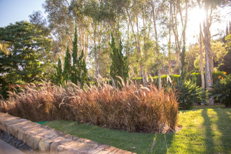 projeto de paisagismo - Consequência da urbanização, a competição por espaço nas cidades tem valorizado áreas verdes e ambientes ecologicamente preservados