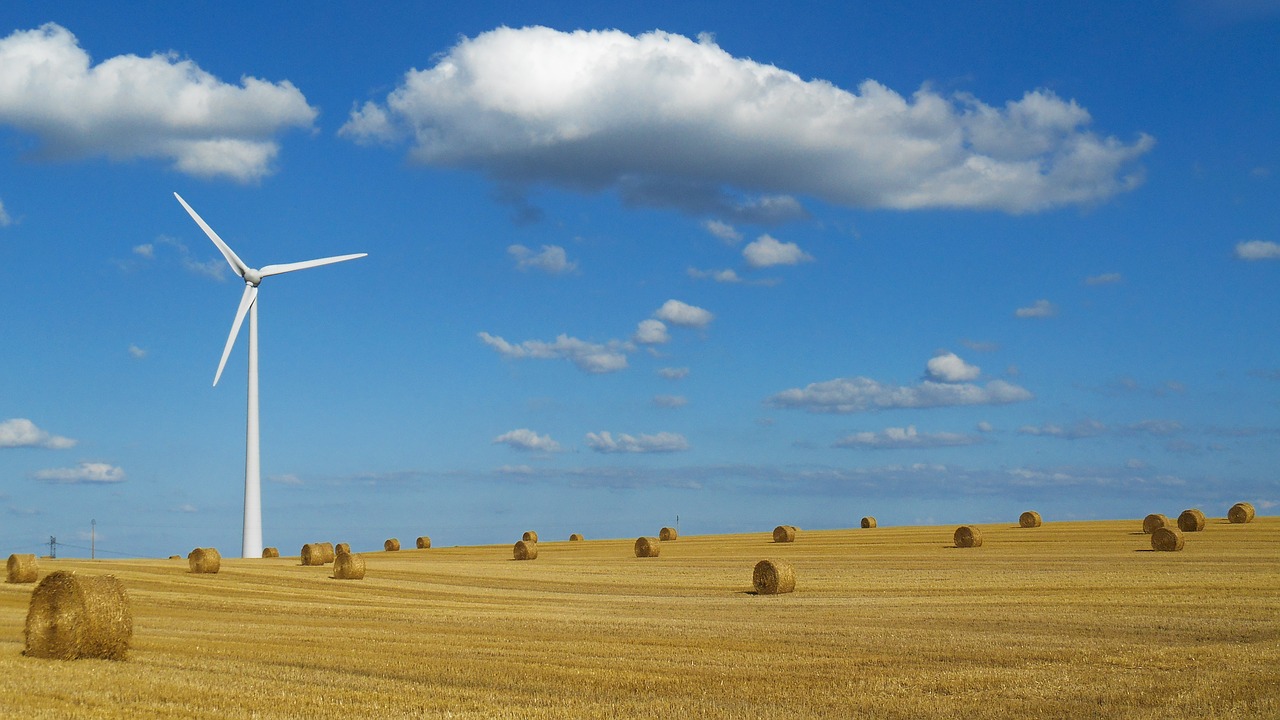 Recém-criada Lei geral sobre o licenciamento ambiental no Brasil dá mais autonomia à iniciativa privada e, por consequência, maior responsabilização
